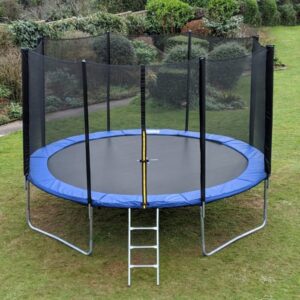 10ft Trampoline With Ladder & with Safety Enclosure Net, Outdoor Trampoline with Heavy Duty Jumping Mat and Spring Cover Padding for Kids & Adults